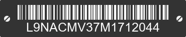 2021 TAOTAO Raptor L9NACMV37M1712044 VIN decoded