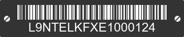 2014 TAOTAO ROMEN 150 L9NTELKFXE1000124 VIN decoded