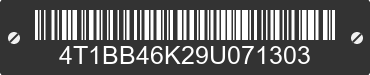 2009 TOYOTA Camry 4T1BB46K29U071303 VIN decoded