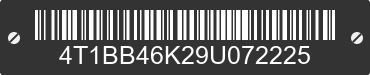 2009 TOYOTA Camry 4T1BB46K29U072225 VIN decoded