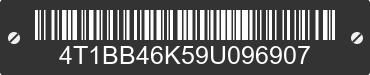2009 TOYOTA Camry 4T1BB46K59U096907 VIN decoded