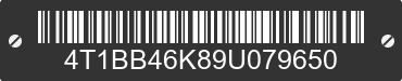 2009 TOYOTA Camry 4T1BB46K89U079650 VIN decoded