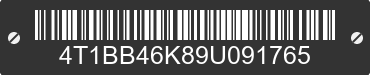 2009 TOYOTA Camry 4T1BB46K89U091765 VIN decoded