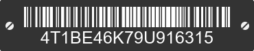 2009 TOYOTA Camry 4T1BE46K79U916315 VIN decoded