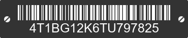 1996 TOYOTA Camry 4T1BG12K6TU797825 VIN decoded