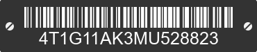 2021 TOYOTA Camry 4T1G11AK3MU528823 VIN decoded