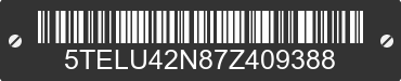 2007 TOYOTA Tacoma 5TELU42N87Z409388 VIN decoded