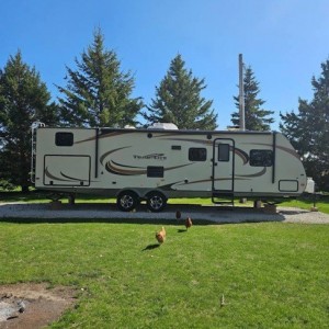 51v1k1p27dw352411 R-VISION R-Vision VIN