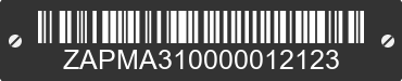 0 VESPA GTS RST / SEI GIORNI ZAPMA310000012123 VIN decoded