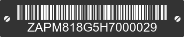 2017 VESPA Primavera / Sprint 150 ZAPM818G5H7000029 VIN decoded