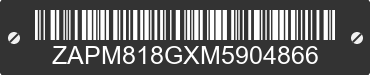 2021 VESPA Primavera / Sprint 150 ZAPM818GXM5904866 VIN decoded