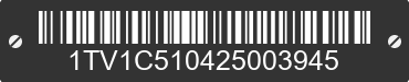 2002 VIKING RV Coachmen 1TV1C510425003945 VIN decoded