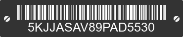 2009 WESTERN STAR 6900 5KJJASAV89PAD5530 VIN decoded