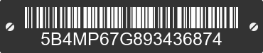 2009 WORKHORSE W22 5B4MP67G893436874 VIN decoded