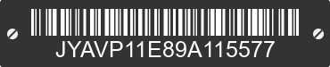 2009 YAMAHA XVS1100 / V Star 1100 JYAVP11E89A115577 VIN decoded