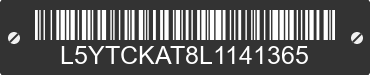 2020 ZNEN ZN50QT/ ZN150T L5YTCKAT8L1141365 VIN decoded